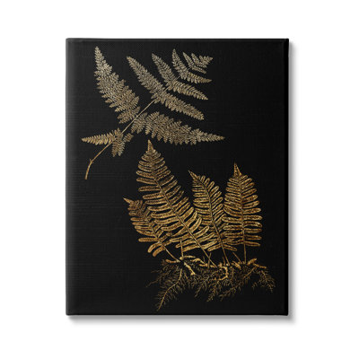 Illustration d'une plante fougère, botanique rétro audacieux par Daphne Polselli