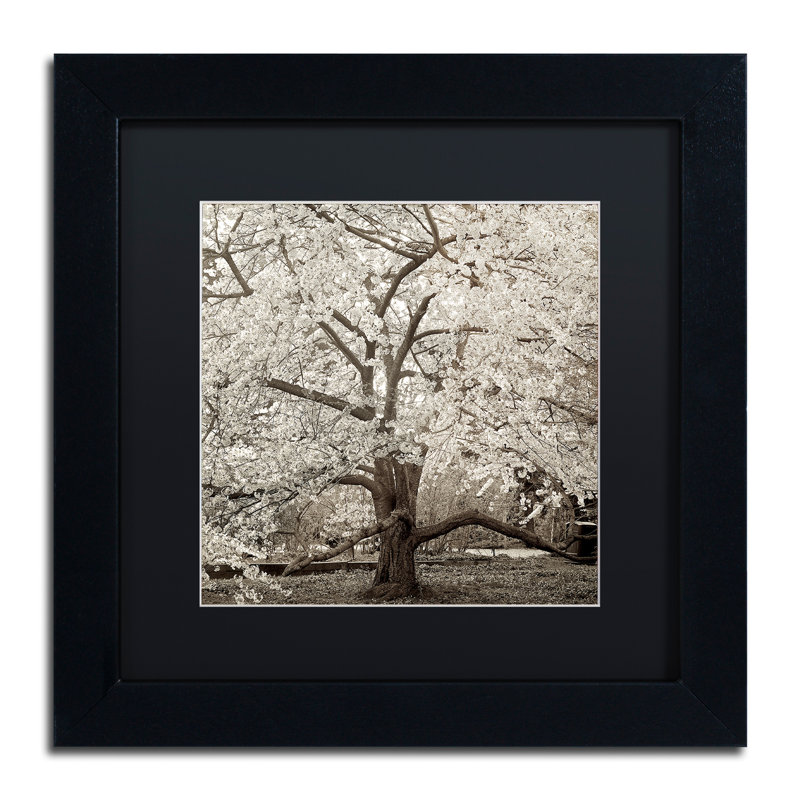 'Hampton Magnolia II' Framed Photographic Print, 11" H x 11" W x 0.5" D, Black