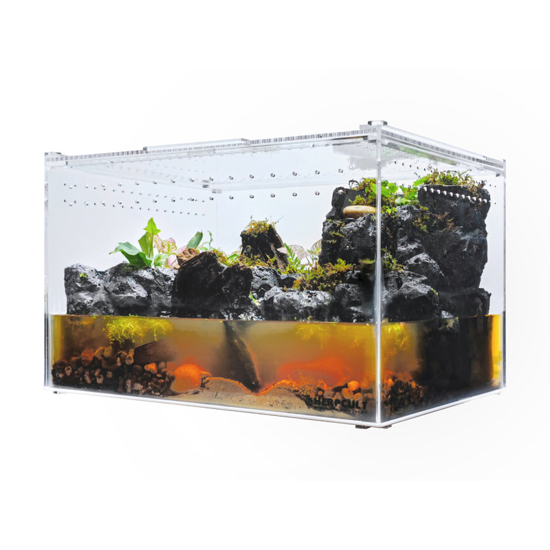 12'' x Acrylic Reptile Terrarium, 8 Gallon - 10"H x 16"W x 12"D