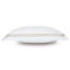 Celine Cotton Pillow Sham-38516110-38595497