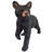 Snooping Cub Black Bear Statue