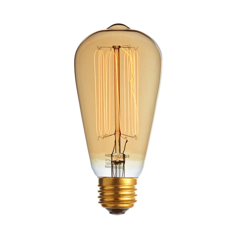 60 Watt, ST64 Incandescent, Dimmable Light Bulb, Warm White (2700K) E26/Medium (Standard) Base