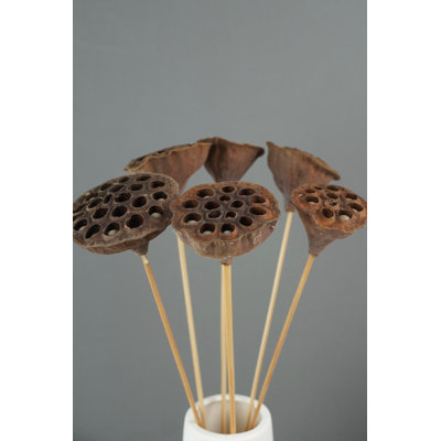 Centre de table Lotus Pods