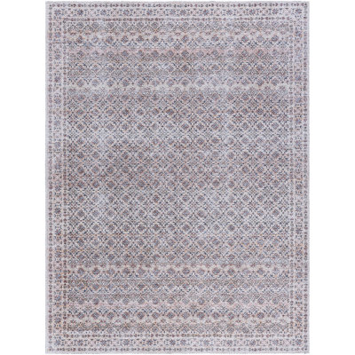 Alcaide Washable Oriental Indoor Rug