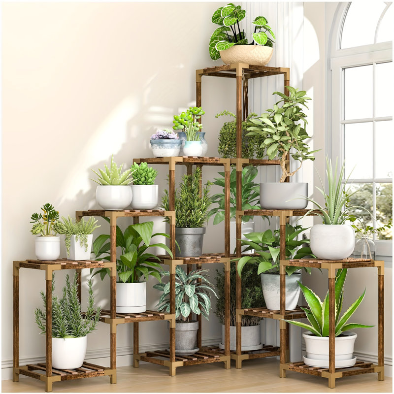 Syma Plant Stand, 47" H x 70.8" W x 12" D
