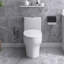 Toilette allongée 12 po à une chasse d'eau 1,6 / 1,1 GPF dans une pièce et siège blanc inclus 12 po