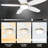 Mariyanka 48'' Ceiling Fan with LED Lights-939926749