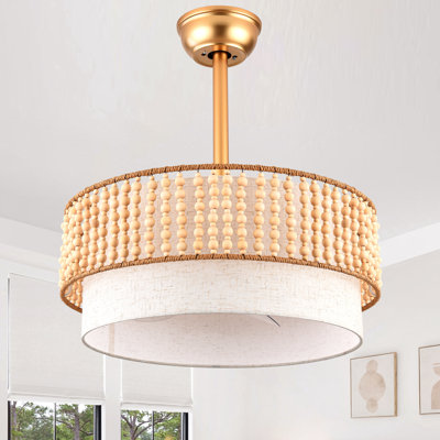 Ventilateur de plafond 20 po avec cage Boho