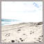 Holiday Dreams 3 Print by Thom Filicia