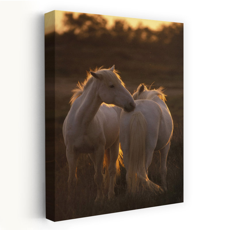 Horses Of Camargue by Collezione Panoramica - Wrapped Canvas Print, 36" H x 24" W