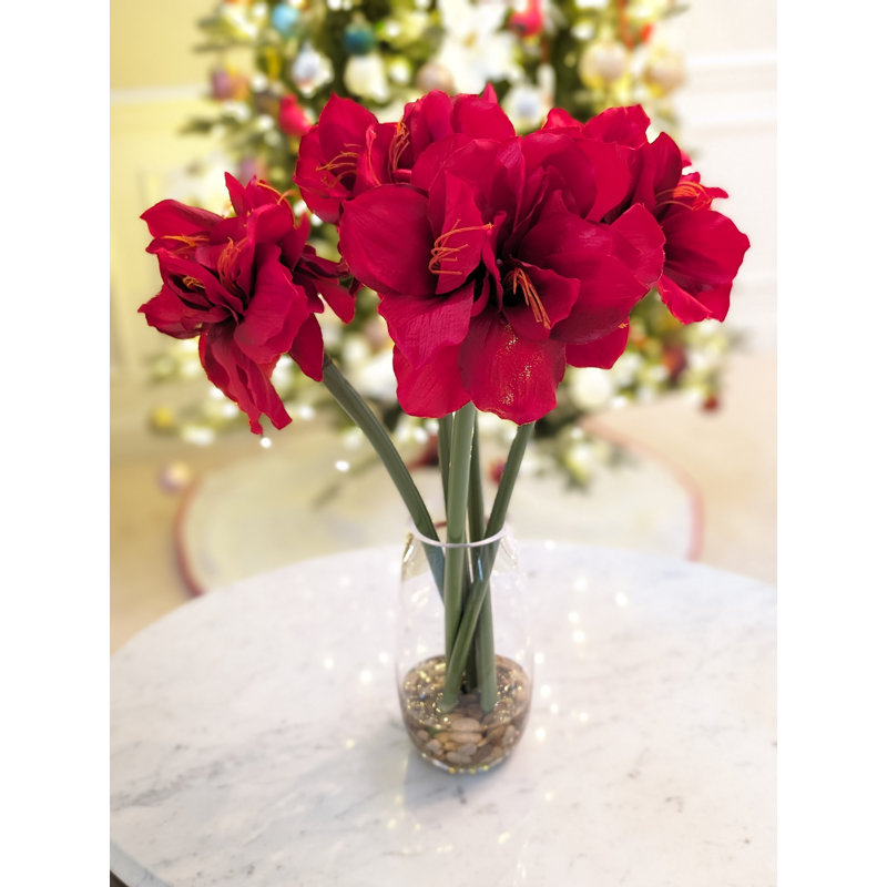 Amaryllis arrangement dans un vase