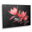 Palmea - Hibiscus, reproduction d'art murale-106150866-134346688