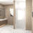 Tempered Glass Pivot Shower Door