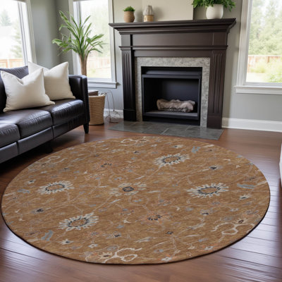 Premium Machine Washable Ducote AMF1137 Global Rug