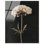 «Darkling Floret II», reproduction d'art acrylique sur toile par Art Remedy