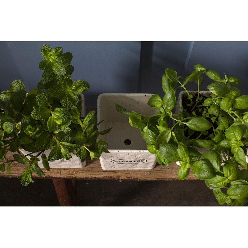 Aroma Handmade Planter Box