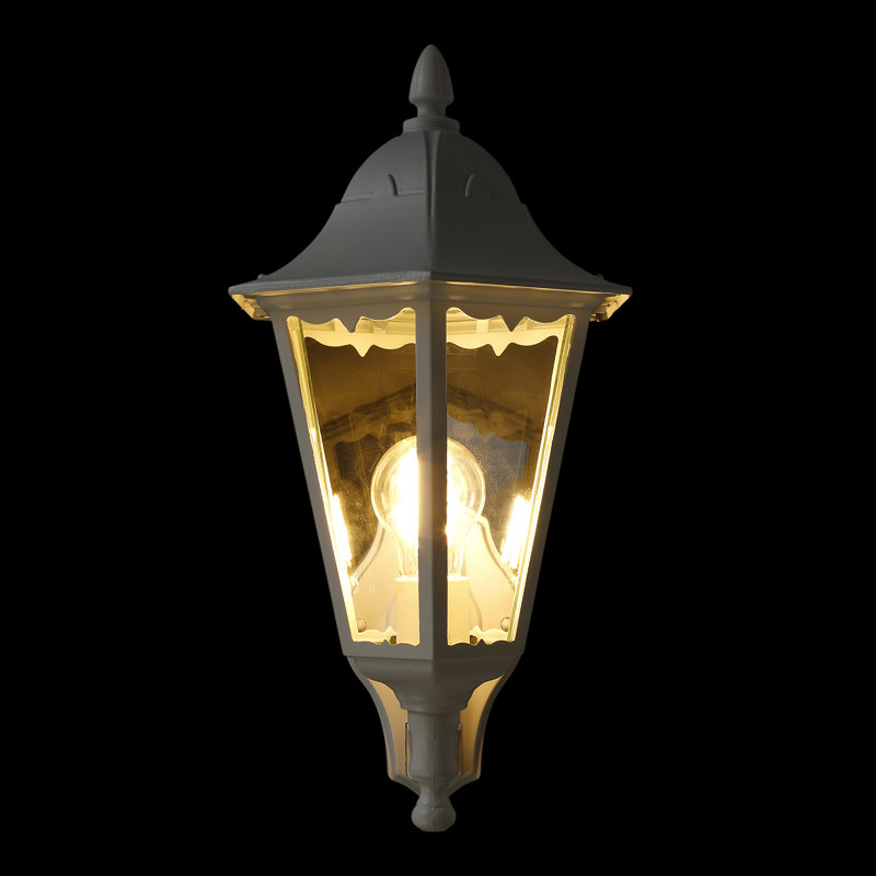 Deonte Outdoor Wall Lantern, Black / Patina Silver