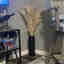 Customer photo 3 of 3