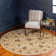 Niles Oriental Indoor Rug