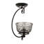 1 - Light Semi Flush Mount
