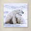 «Polar Bear Cubs», reproduction sur toile tendue-21936474