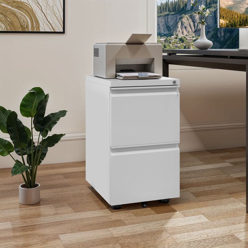 39 cm W 2 -Drawer - Drawer Wheels / Casters included Mobile Steel Filing Cabinet, White
