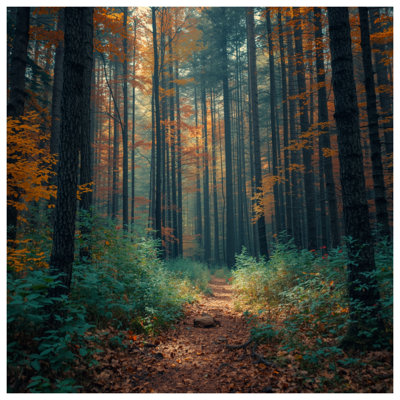 Autumn Forest Pathway Comforter