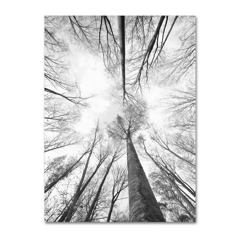 «Recall the Days», reproduction de photo sur toile tendue, H 19 po x l 12 po x P 2 po