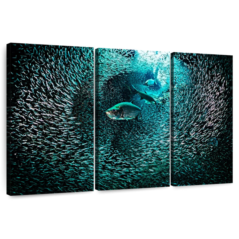 Tunnel de pêche sous-marine Aletra, H 32 po x l 50 po