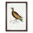 Walnut Framed selected