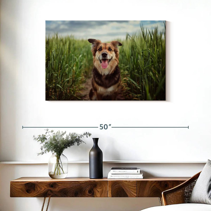 Brampt Dog In The Cornfield, 24" H x 36" W