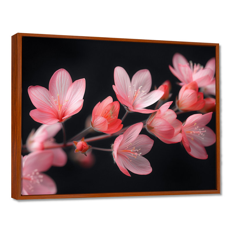 Fleurs de cerisier roses et noires - art mural Cherry Blossom, Toile avec cadre flottant brun, H 16 po x l 32 po x P 1 po