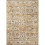 Bonney Oriental Area Rug in Sunset/Gray
