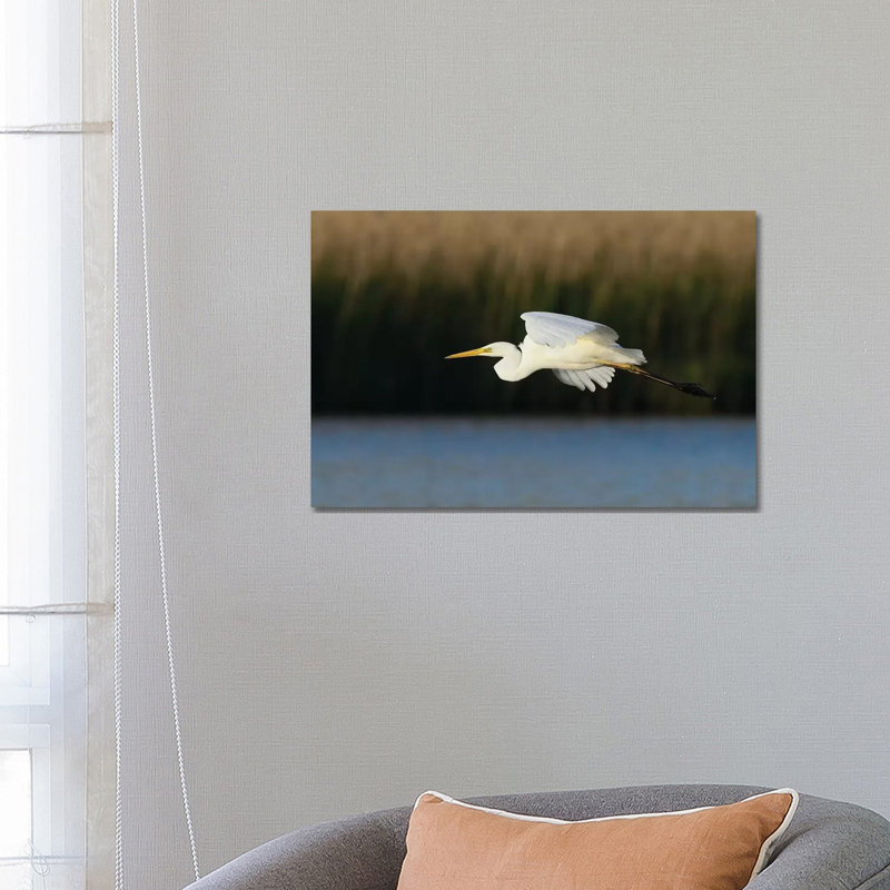«Great Egret» par Elmar Weiss - Photographie sur toile tendue, H 18 po x l 26 po x P 1,5 po