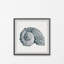 Luxur «Sturdy Shell» - Reproduction de cadre photo sur papier-276966151-283168264