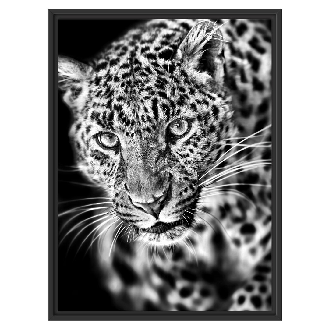 Gerahmtes Wandbild Anmutiger Leopard