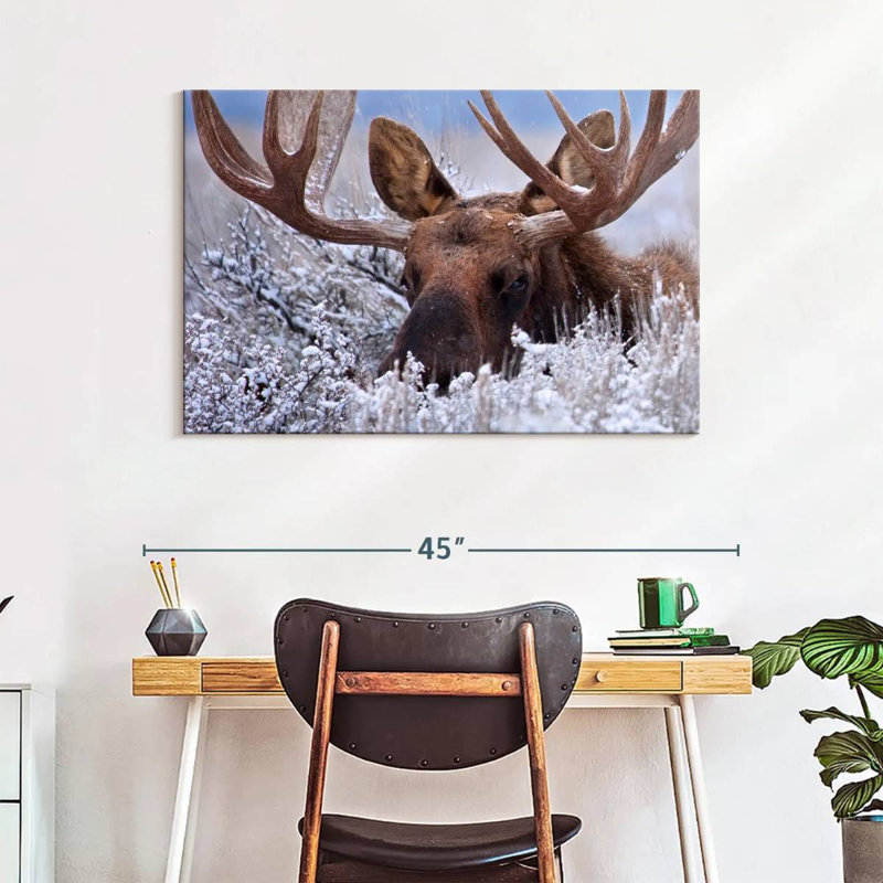 Brampt Hiding Moose, 26" H x 39" W