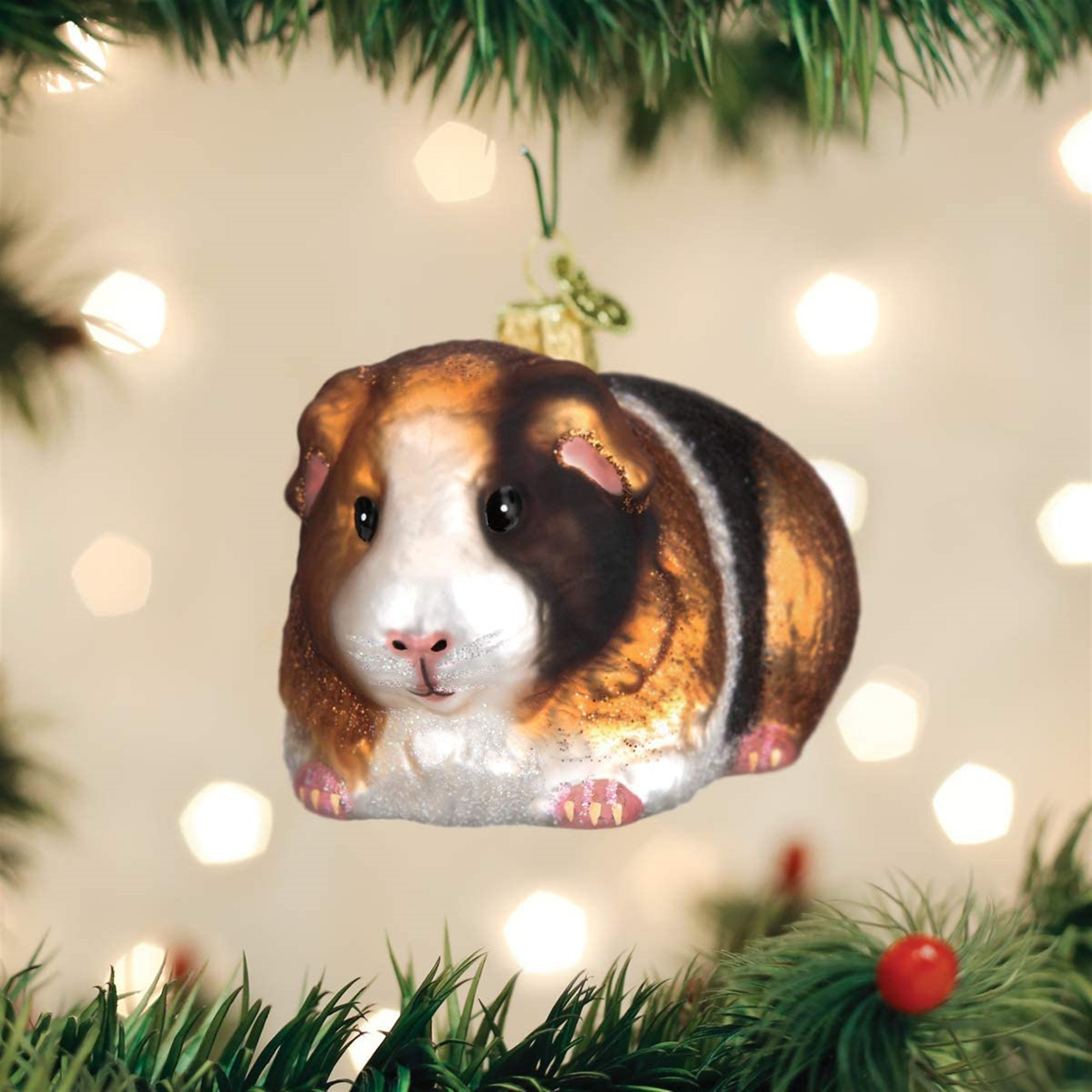 Old World Christmas Guinea Pig Hanging Figurine Ornament Reviews