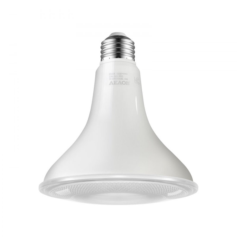 PAR38 Ampoule d'extérieur à DEL 1050 lumens, 5000K à intensité variable, ampoules à DEL à intensité variable
