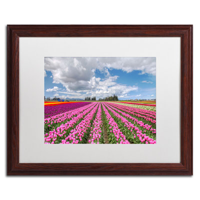" Tulip Field " Acrylic Print