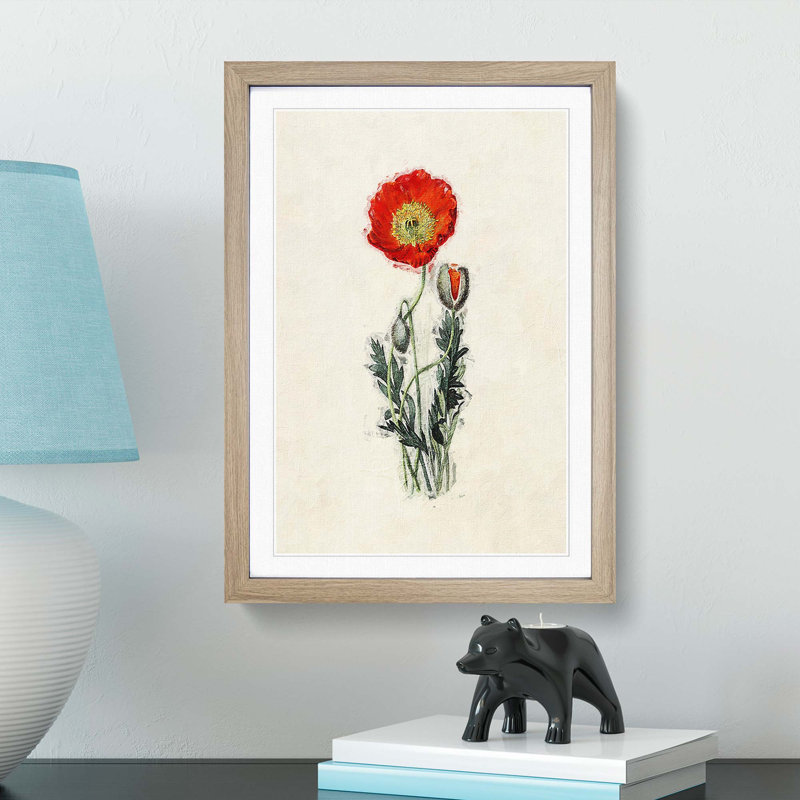 Illustration of a Poppy Flower - Picture Frame Painting Print, 36cm H x 27cm W x 2cm D, Oak Framed