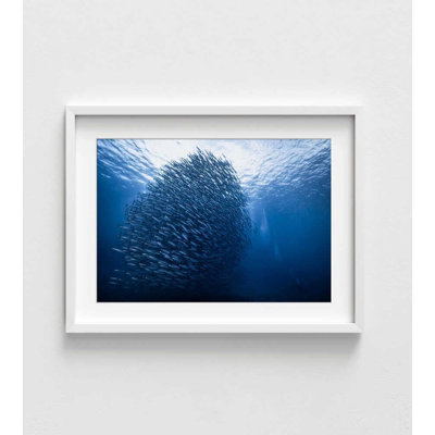 «Massive Fish School», art de l'océan