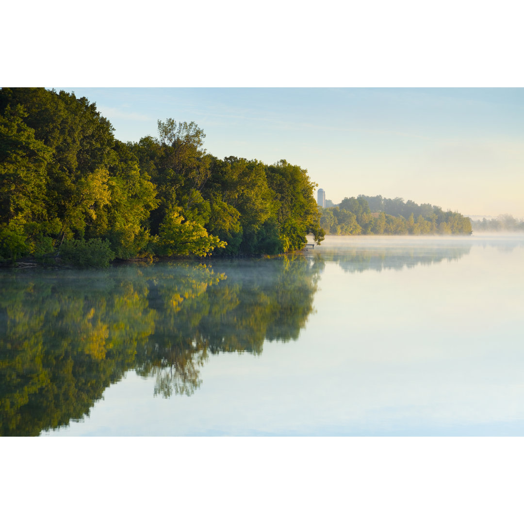 Shoreline Trees von JamesBrey - Drucken