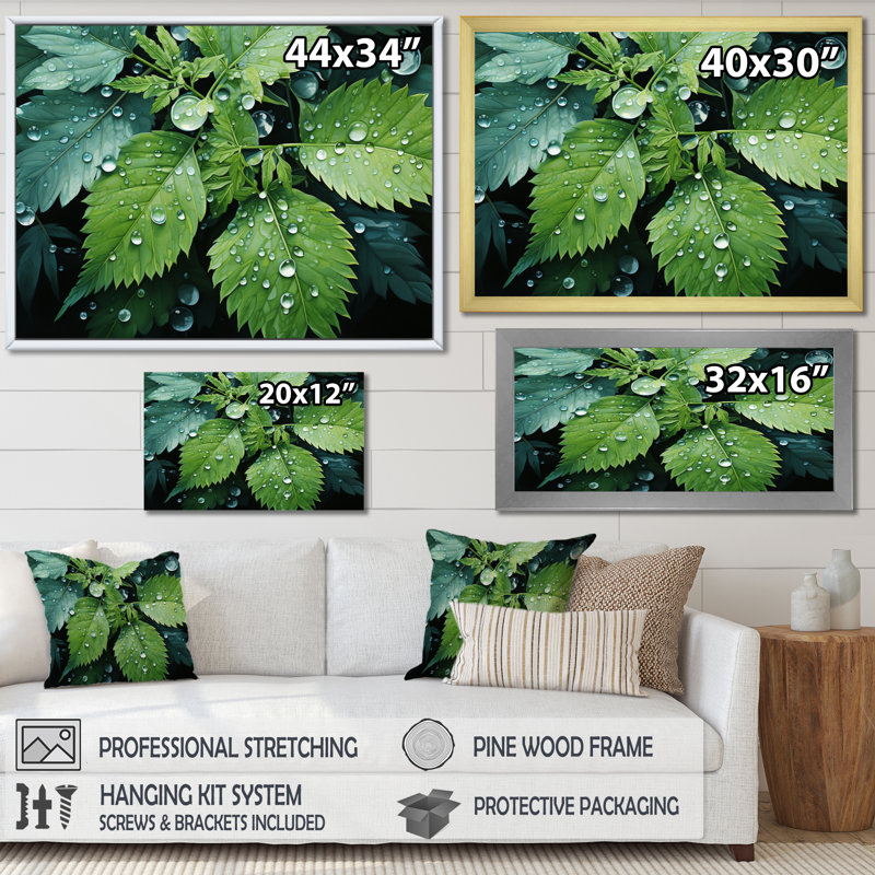 Ferns Plant Gossamer Veil I - impression, Toile tendue, H 30 po x l 40 po x P 1,5 po