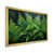 Gold Single Picture Framed