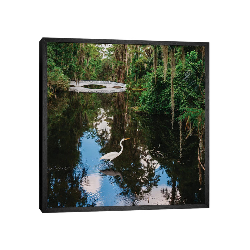 Charleston's Magnolia Plantation VII by Bethany Young - Print on Canvas, Black Framed, 45.72cm H x 45.72cm W x 3.81cm D