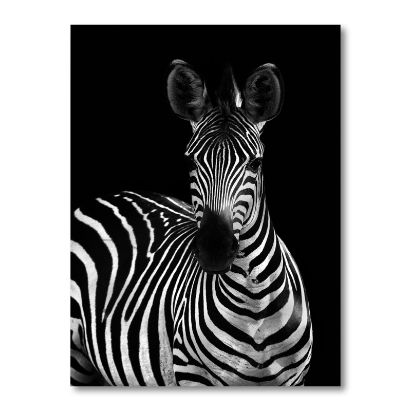 Zèbre en noir et blanc II - reproduction d'art sur toile, H 40 po x l 30 po x P 1,5 po, Toile tendue