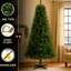 Arbre de Noël à charnière de 6 pi avec 582 pointes, branches complètes, support en plastique à 4 pieds, installation rapide et sans tracas, pour un décor des Fêtes unique dans de petits espaces Artificiel, réaliste, sécuritaire et fiable, créatif
