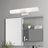 Cailum 2 - Light Dimmable Vanity Light-1572638909