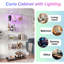 Glass 80 cm W Display Cabinet-942883501